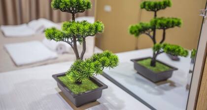 Budgeted Hotel Suites Tbilisi Isani