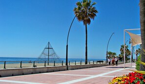 Un paseo marítimo con una palmera, una estructura de red de pesca y una exhibición floral.