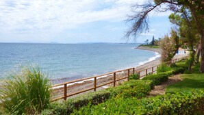 Un paisaje costero con un camino de madera a lo largo de la playa, que lleva a una zona verde con árboles.