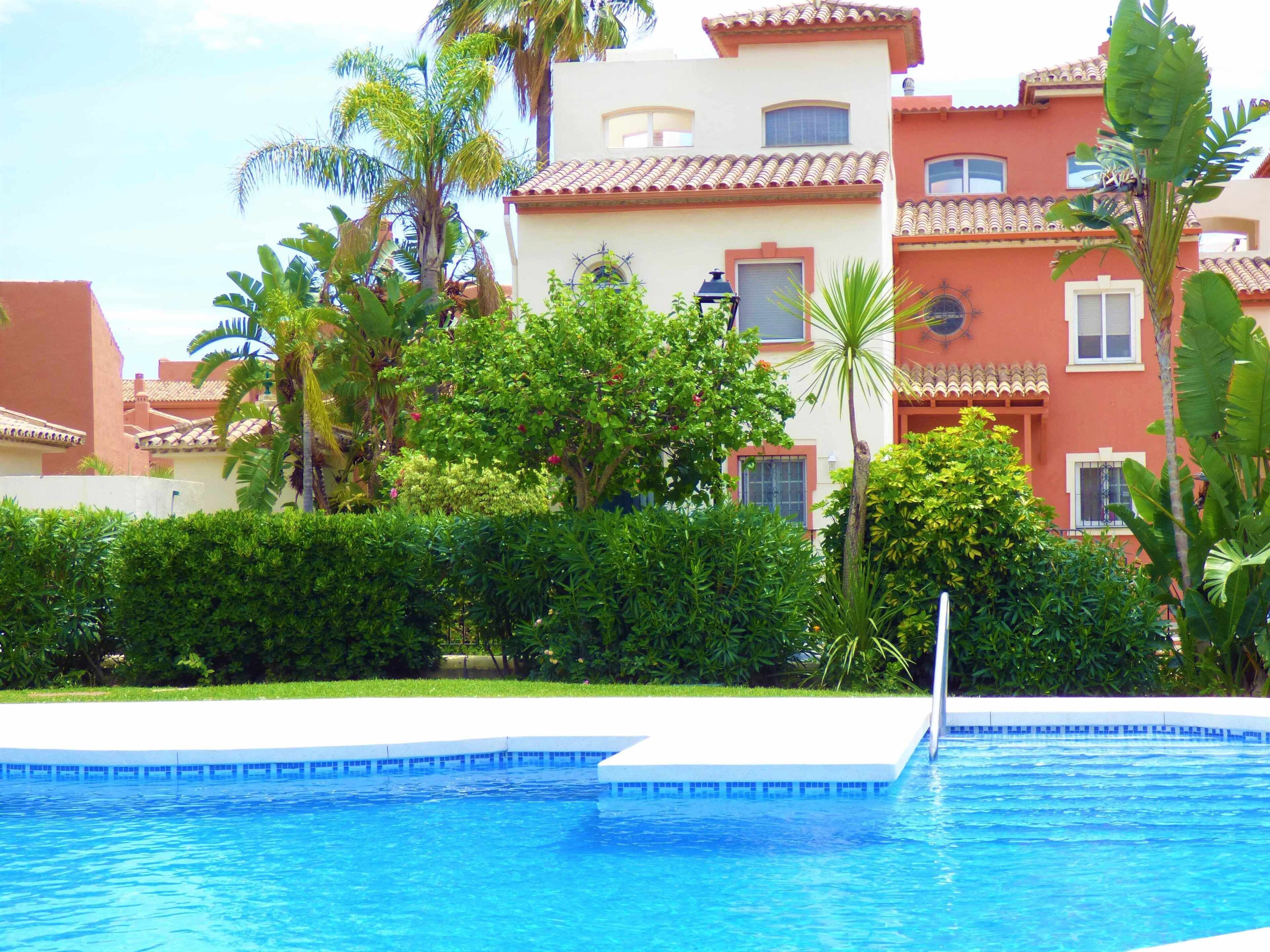 A swimming pool with a tiled edge, surrounded by lush greenery and palm trees, with buildings in the background.