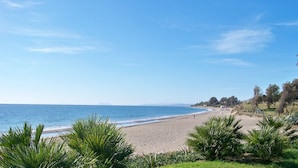 Une plage avec un ciel dégagé, une mer calme et une végétation luxuriante au premier plan.