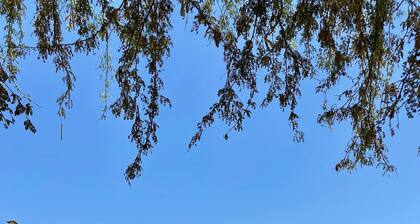 Cozy pet-friendly bungalow with ocean views and excellent atmosphere in Máncora.