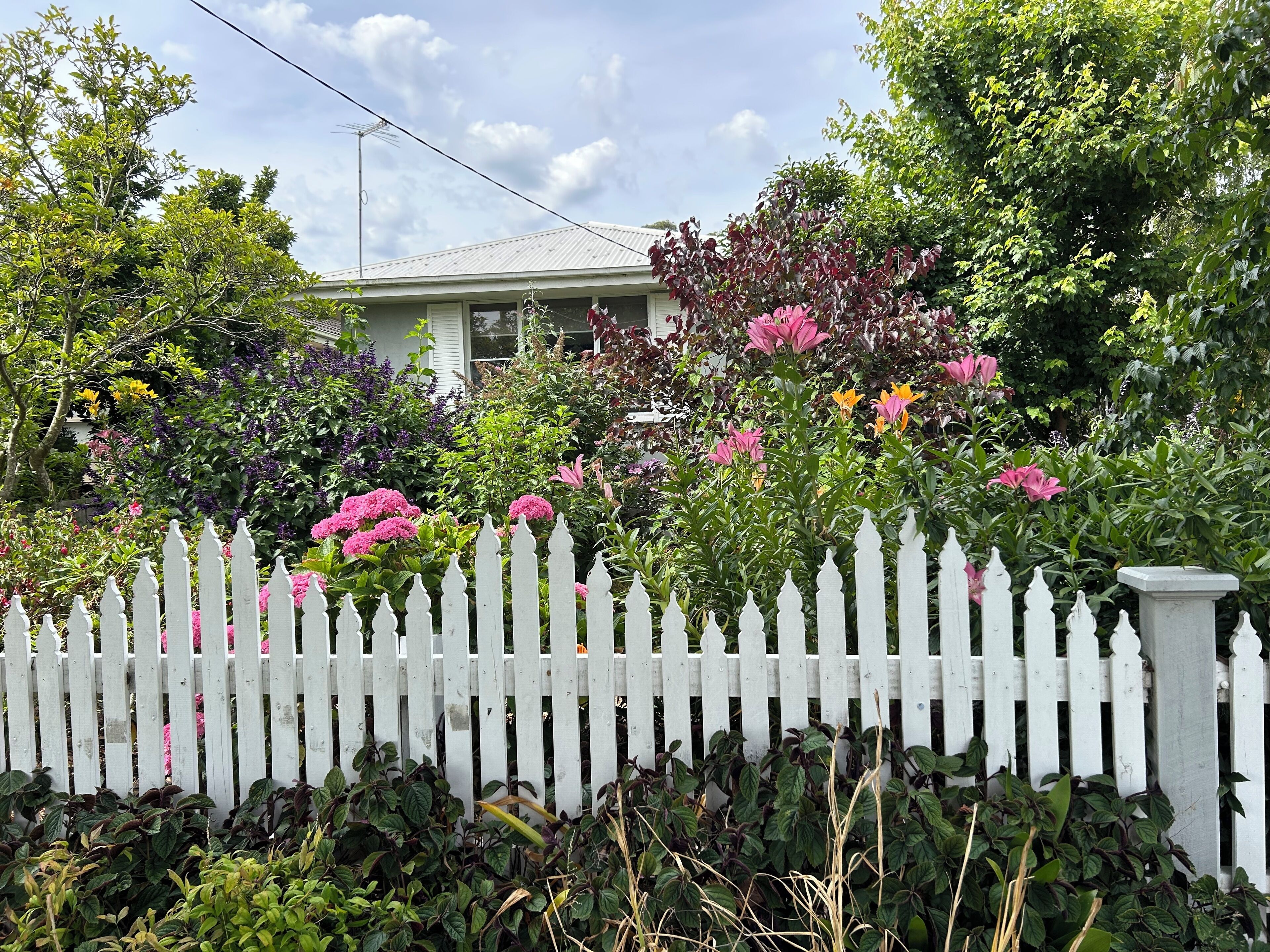 Overnatningsstedets område