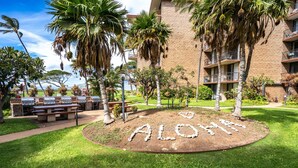 Une cour intérieure avec une zone centrale où est inscrit le mot « ALOHA », entourée de palmiers et bordée d’un bâtiment doté de balcons.