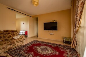 Fernseher
