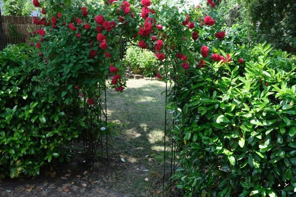 Overnatningsstedets område