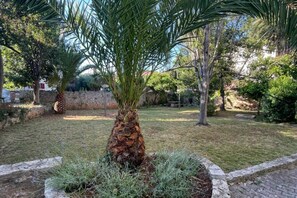 Un jardin agrémenté d’un palmier, d’un mur en pierre et de divers arbustes.