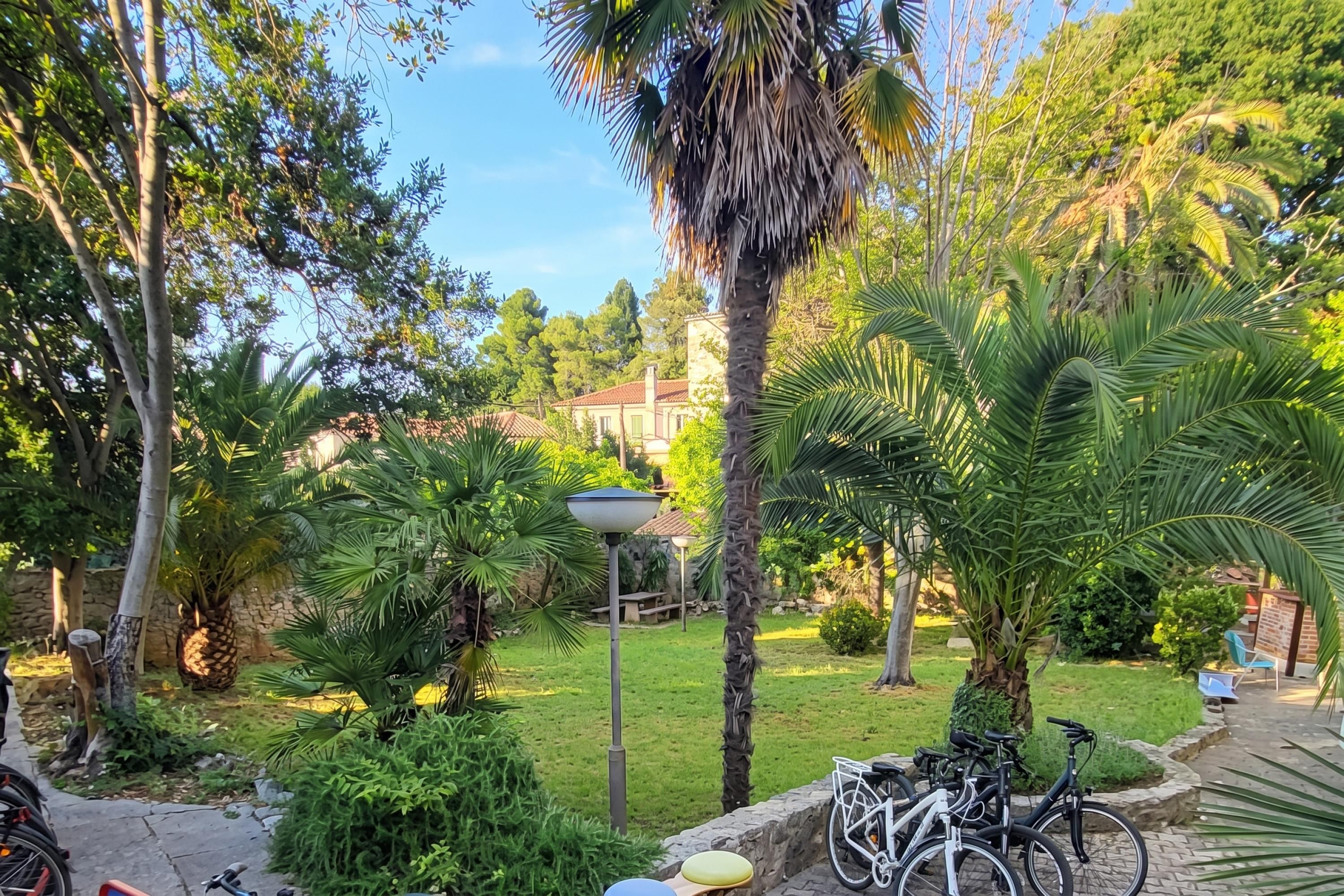 Un jardin avec différentes plantes, un lampadaire et des vélos.