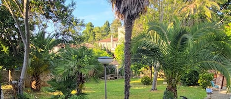 Un jardín con diversas plantas, un farol y bicicletas.