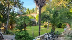 Um jardim com um caminho, bicicletas e um lampião.