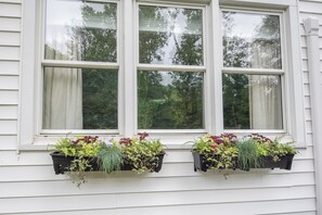 Exterior detail - Secluded cottage, sleeps 6, private and peaceful (Mcveytown)