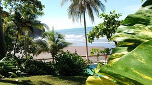 A tropical garden with a view of the beach and ocean. - El Patio de Don Moncho - Shalpa (Jicalapa)