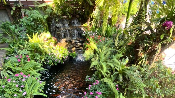 A garden with a small waterfall, various plants, and a sign that reads "Rich Garden House".