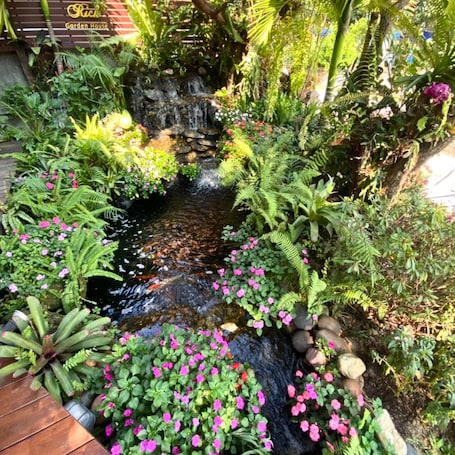 Jardín