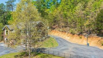 Residential property with a winding driveway, front porch, and basketball hoop, set amidst a wooded area.