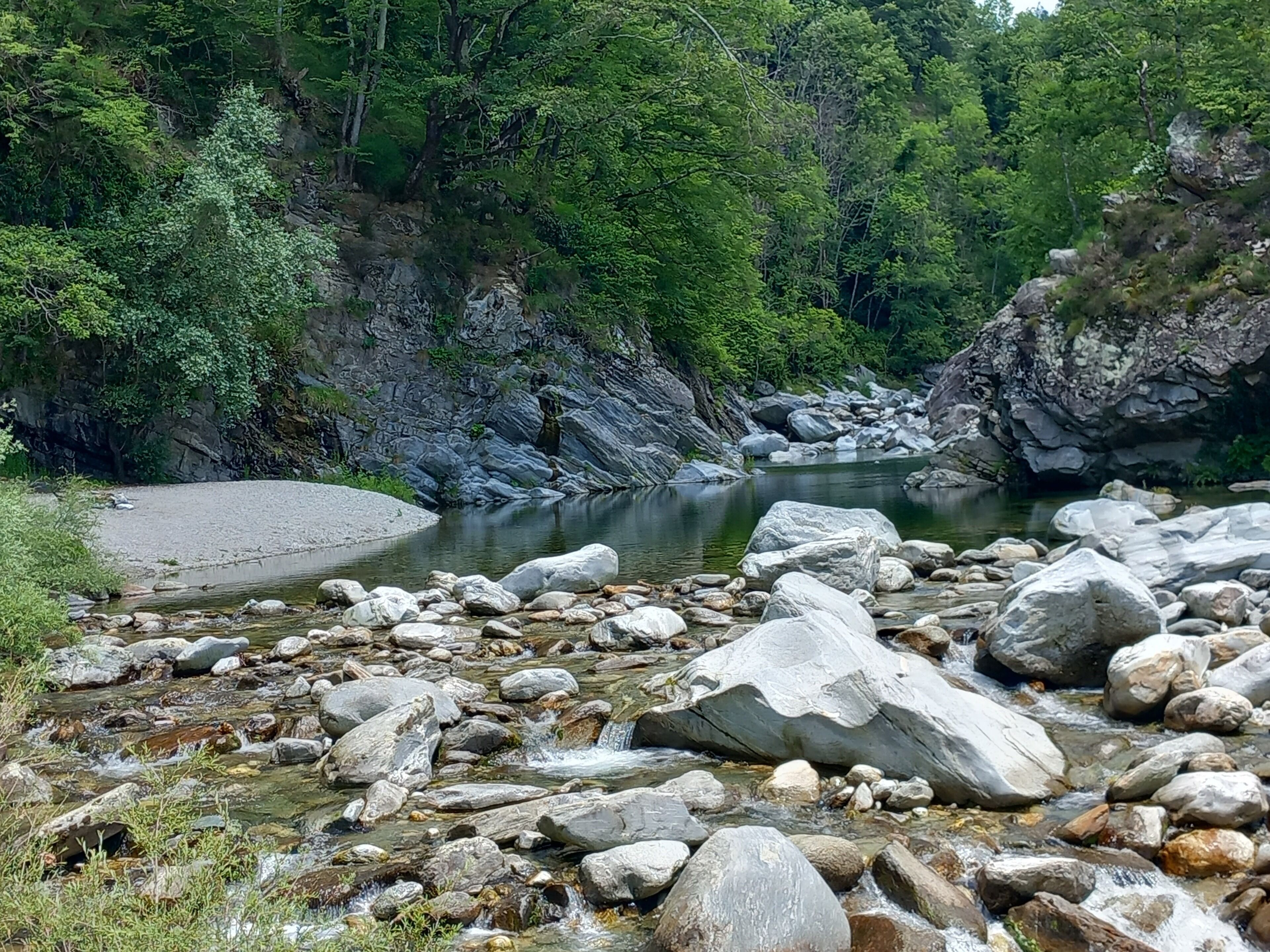 A natural landscape with a river, rocks, and dense greenery.