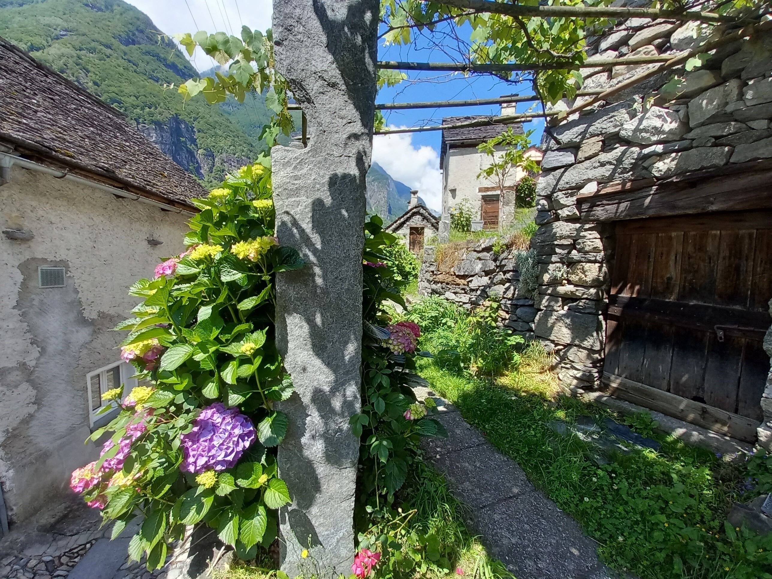 Phòng, 1 phòng ngủ, ban công, quang cảnh vườn | Ngoại thất