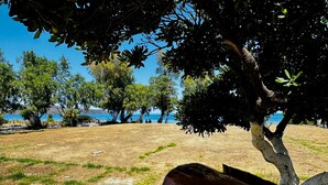 Uma área com grama, árvores e vista para o mar.
