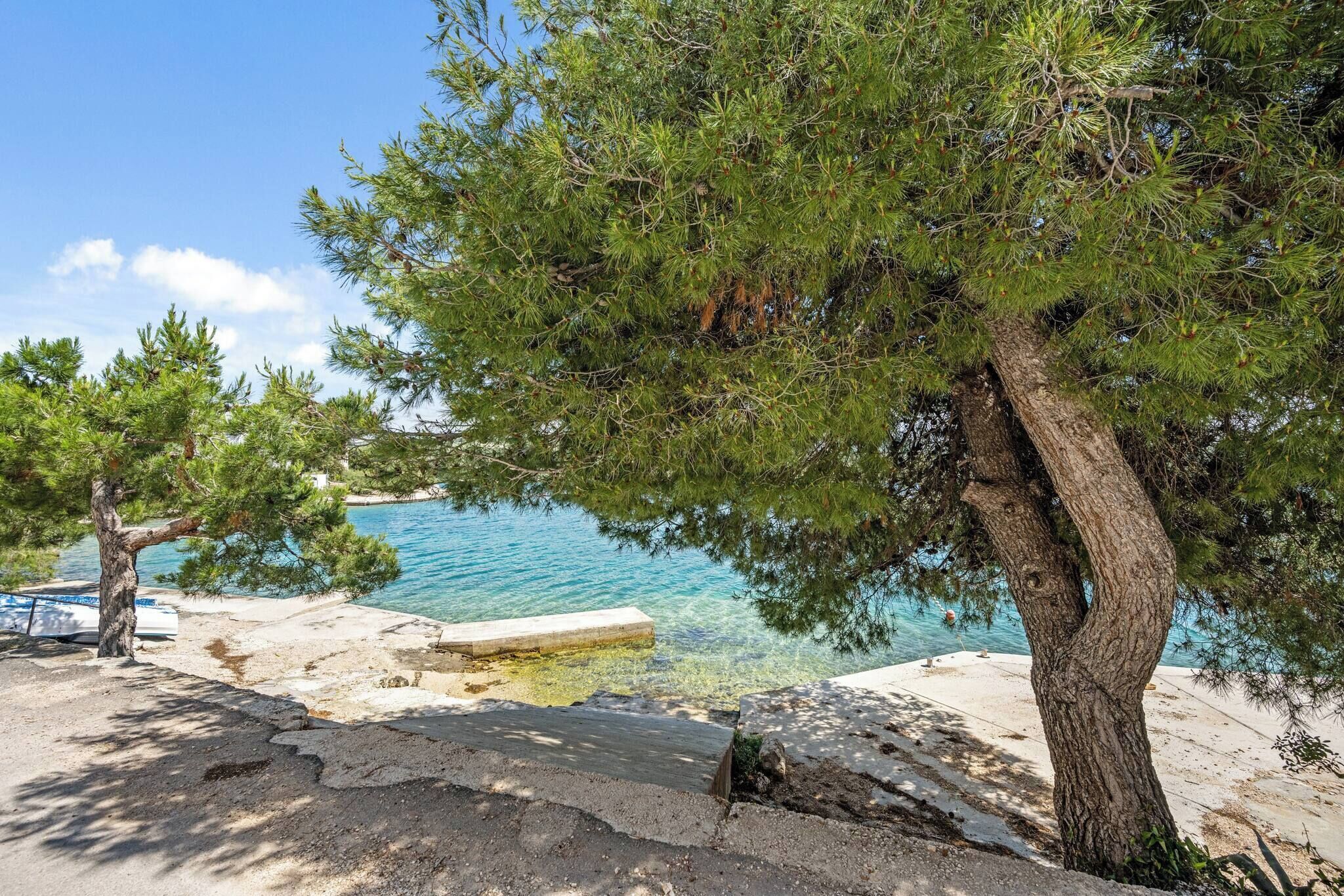A coastal area with clear water, a boat, and trees.