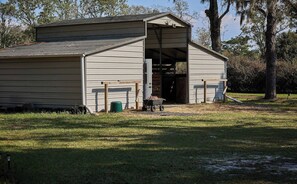 Exterior - Room-pleasant Days Lodging Scallop Room (Homosassa)
