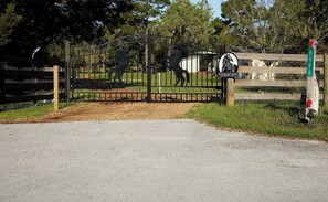 Shared Dormitory, 1 Bedroom, Smoking, Garden View | Property grounds