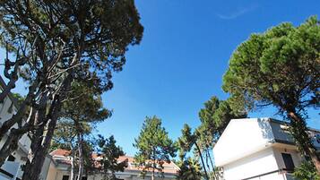 ๋น๋ผ, ์นจ์ค 2๊ฐ, ๋ฐ์ฝ๋, ์ ์ ์ ๋ง | ์๋ฐ ์์ค ์ ๋ฉด