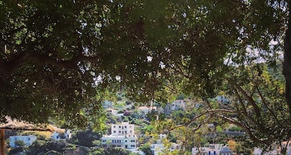 Irigoni Studio - Ikaria