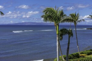 Condo, 1 quarto | Praia | Na praia 