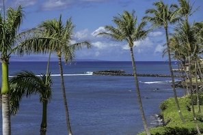 A coastal view with palm trees and a clear sky.