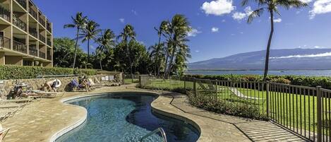 A pool area with a curved design, surrounded by palm trees and a view of the ocean.