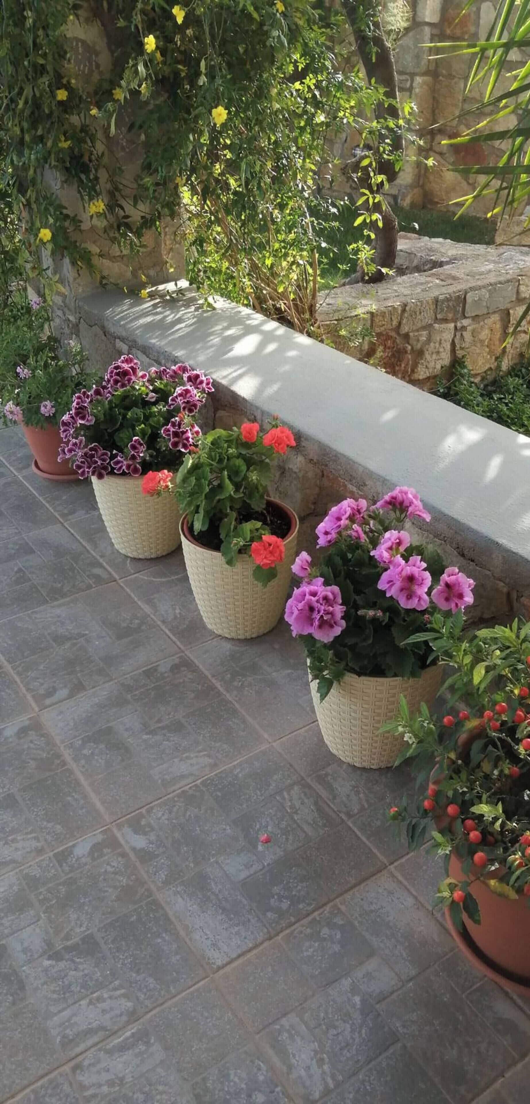 Un banc en pierre agrémenté de plantes en pot.