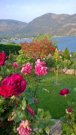 A garden with roses and a view of a lake and mountains.