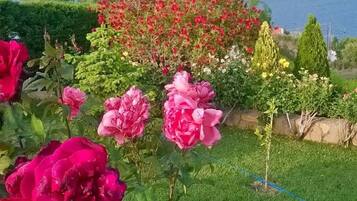 Villa, 3 Bedrooms, Private Pool, Mountain View | Garden