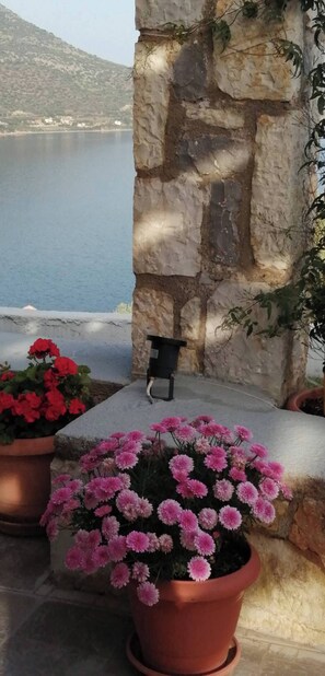 Villa, 3 Bedrooms, Private Pool, Mountain View | Property grounds