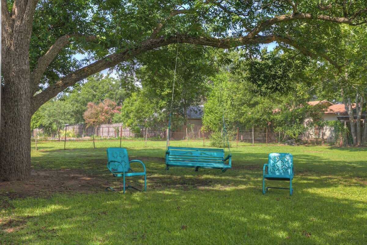 Un parc avec un grand arbre, une balançoire et deux bancs.