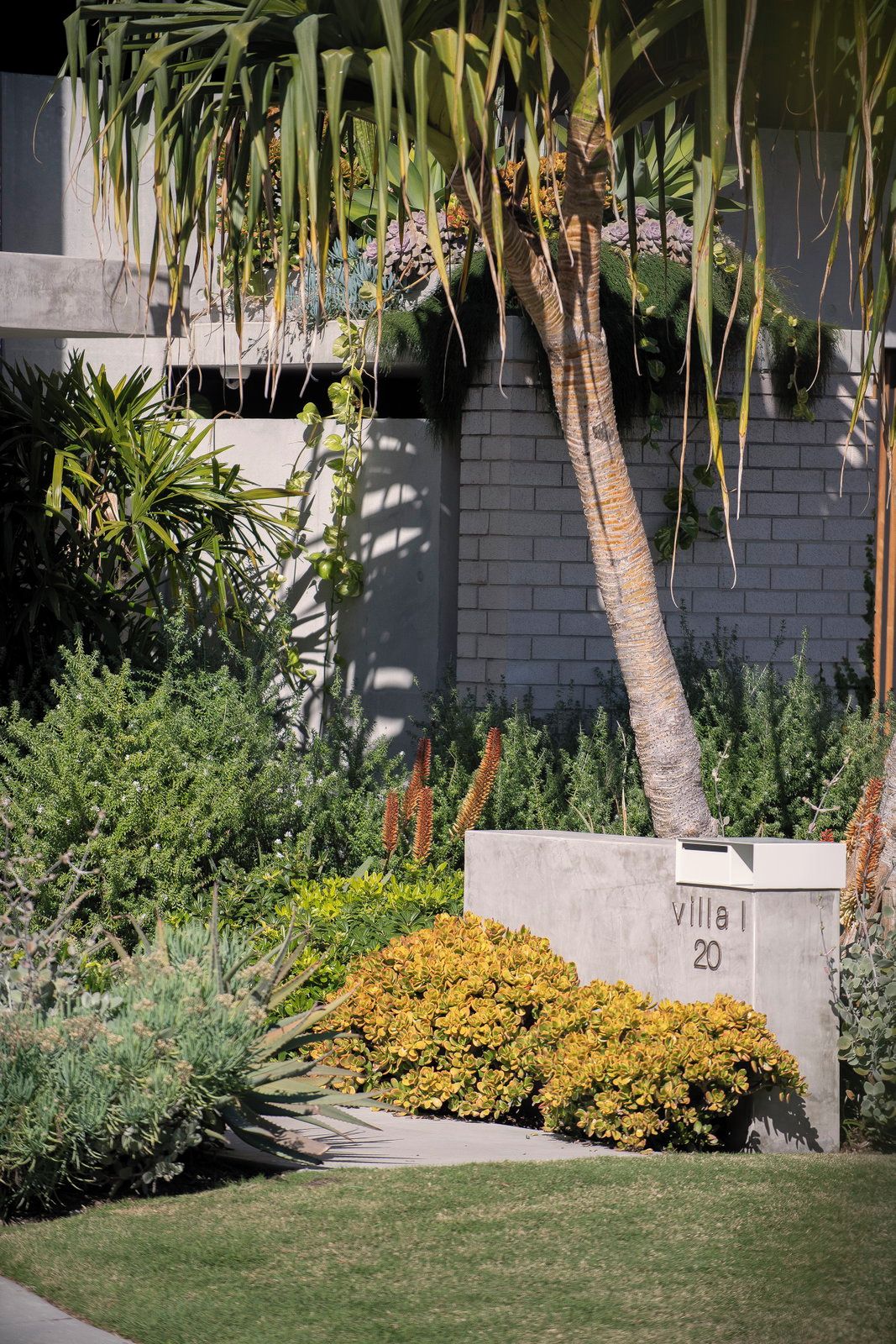 Ein angelegter Garten mit verschiedenen Pflanzen, einer Palme und einem Betonschild mit der Nummer '20', das eine Liegenschaft oder Wohneinheit kennzeichnet.