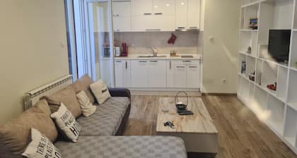 Comfortable apartment 10 minutes from the center of Novi Sad.