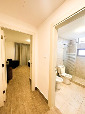 Apartment, 1 Bedroom, Accessible, Smoking | Bathroom