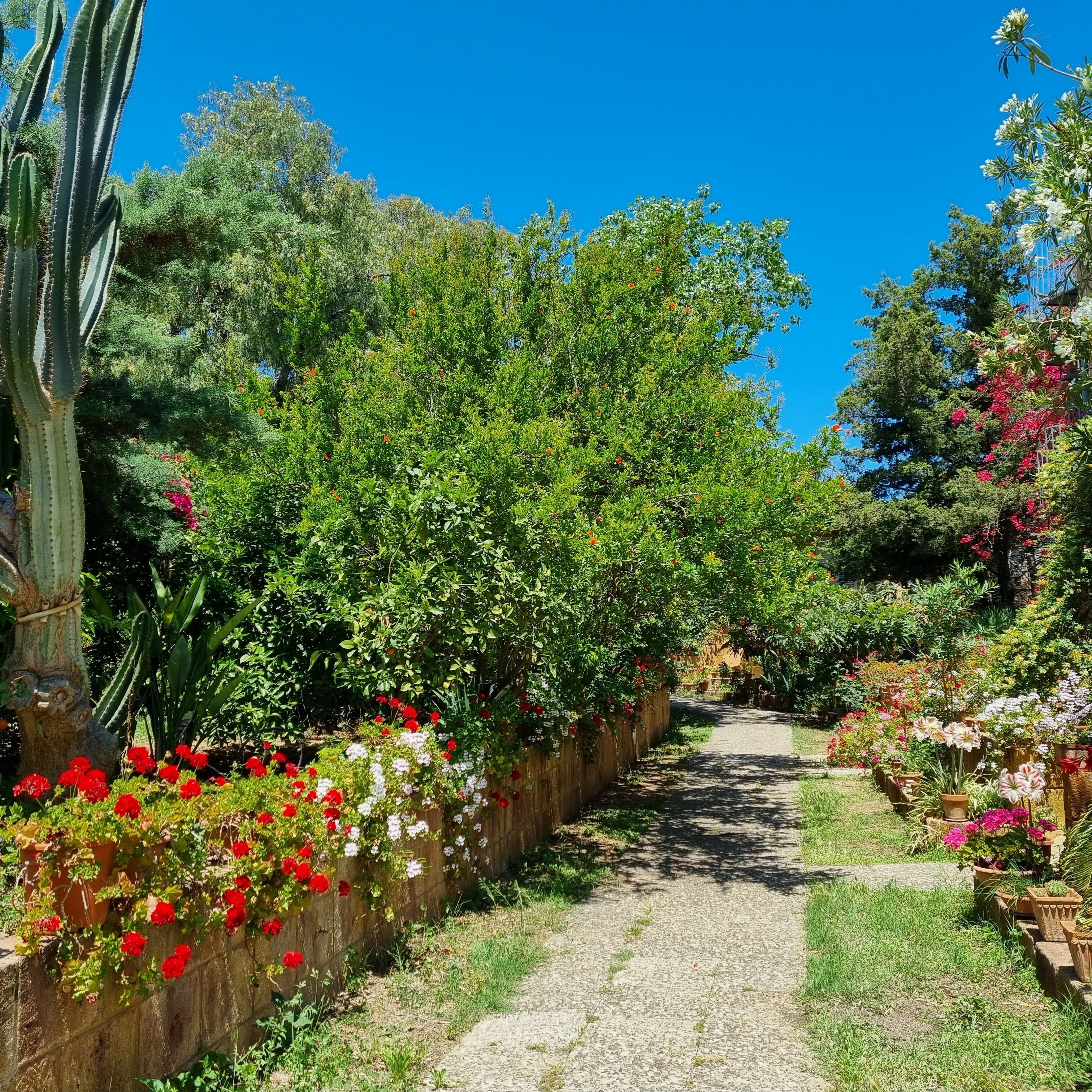 Ferienhaus, 2 Schlafzimmer, Raucher, Balkon | Unterkunftsgelände