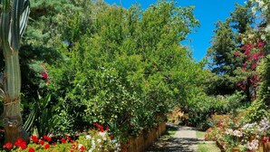House, 2 Bedrooms, Smoking, Balcony | Property grounds - 2- Large Terrace and Suggestive Panorama (Santa Flavia)