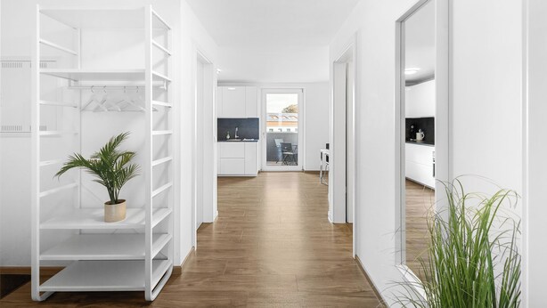 A modern, open-plan living space with a wooden floor, white walls, and a built-in white shelving unit with a potted plant. - In the middle of Kempten with a mountain feel (Kempten (Allgäu))