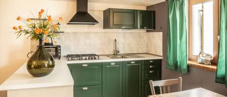 Fridge, microwave, oven, coffee/tea maker