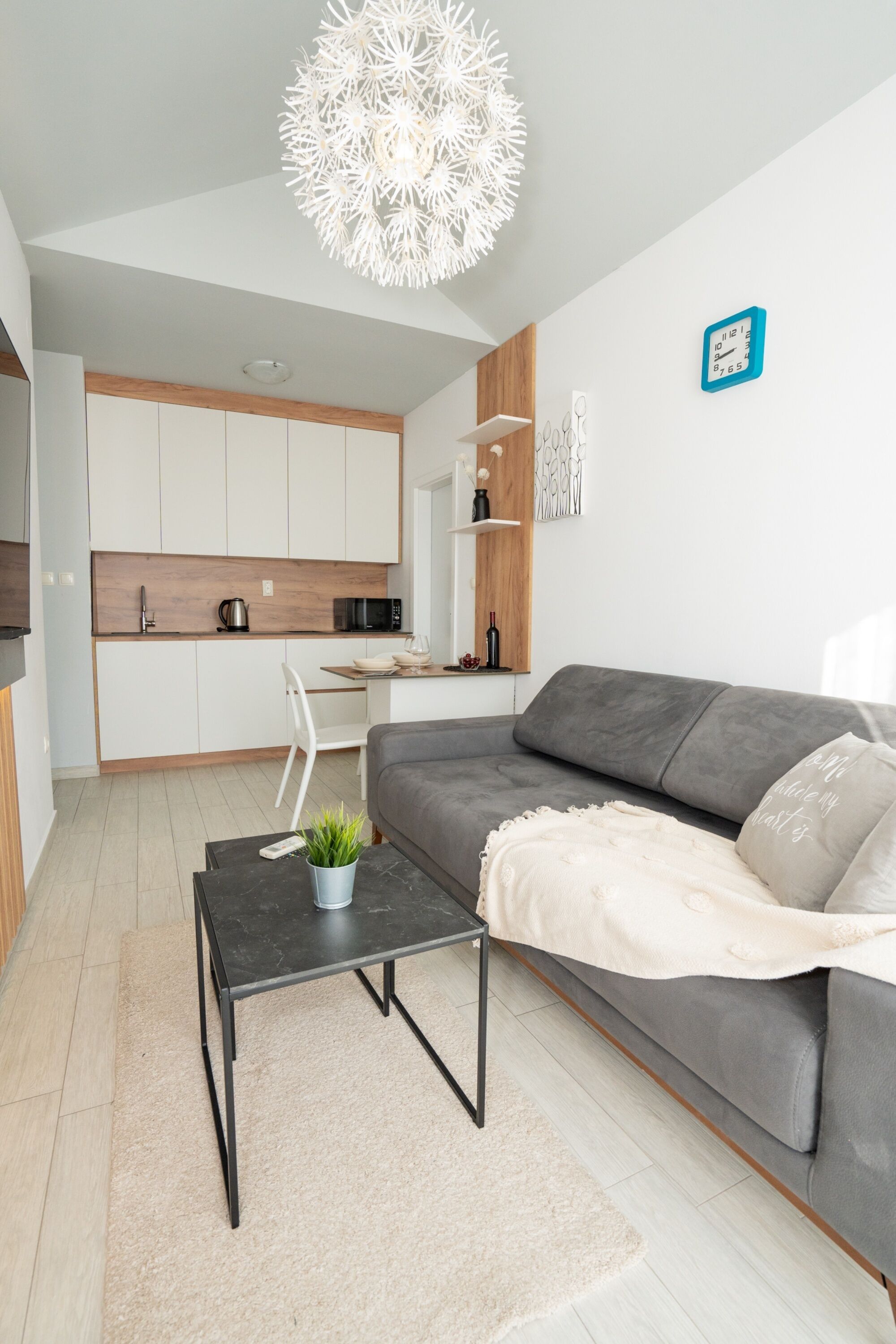 A modern living room with a grey sofa, a black coffee table with a plant, and a white rug.
