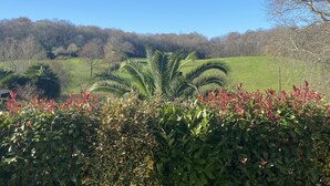 A lush green landscape with a variety of plants and trees, including a prominent palm tree in the center.