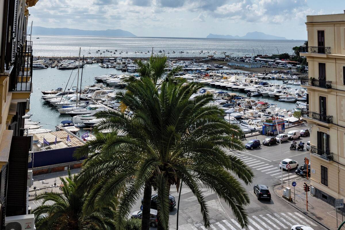Un puerto deportivo con barcos, cielo despejado y una palmera en primer plano.
