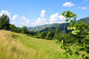 Property grounds - Apartment 'Atypique' with Mountain View and Private Garden (La Bresse)