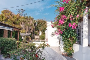 Un bâtiment blanc avec un jardin, une pergola en bois et un mur blanc orné de fleurs roses.