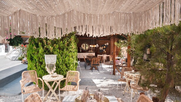 An outdoor seating area with wicker chairs, a table with decorative pumpkins, and a backdrop of greenery and wooden structures.
