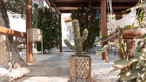 A covered outdoor area with a cactus, a metal lamp, and a wooden bench.