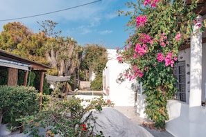 A white building with a garden, a pool, and a pergola.
